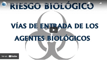 Vdeo Riesgo Biolgico - Vas de entrada de los Agentes Biolgicos