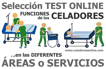TEST ONLINE Recopilatorios sobre las FUNCIONES de los CELADORES en las diferentes REAS o SERVICIOS