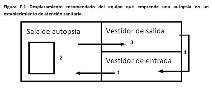 Figura 1: Desplazamiento recomendado del equipo que emprende una autopsia en un establecimiento de atencin sanitaria