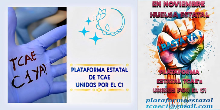 Plataforma Estatal de TCAEs Unidos por el C1