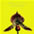 B�lver Yin - M�sica