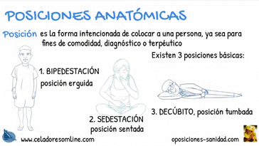 Vdeo Posiciones Anatmicas