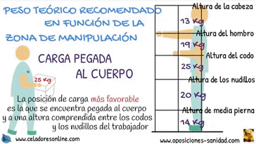 Vdeo Peso Terico Recomendado en Funcin de la Zona de Manipulacin