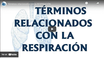 Vdeo Trminos relacionados con la Respiracin