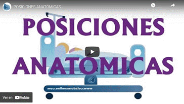 Vdeo Posiciones Anatmicas