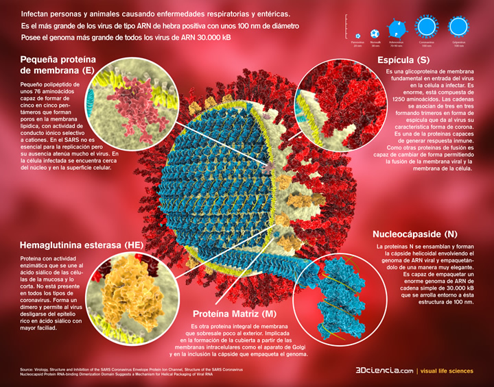 Las Armas del CORONAVIRUS