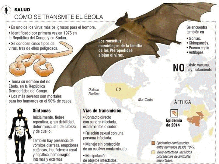 Transmisin del Virus del bola