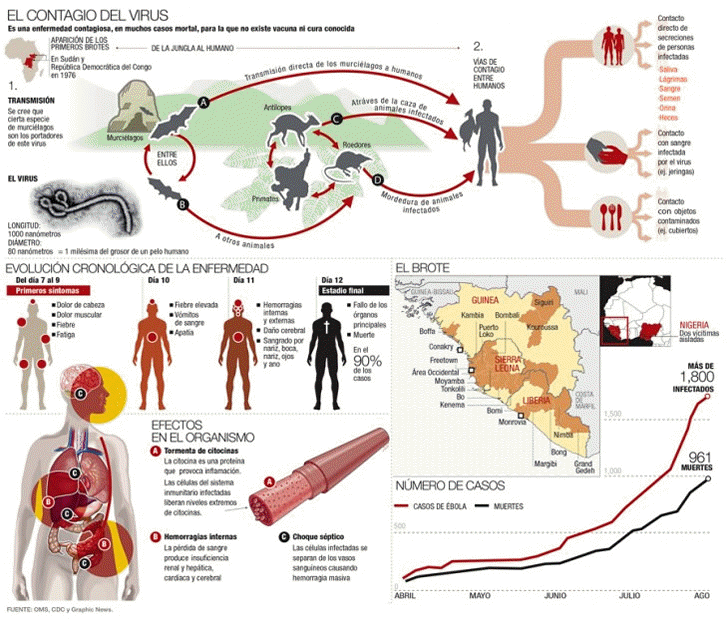 El Contagio del Virus del bola