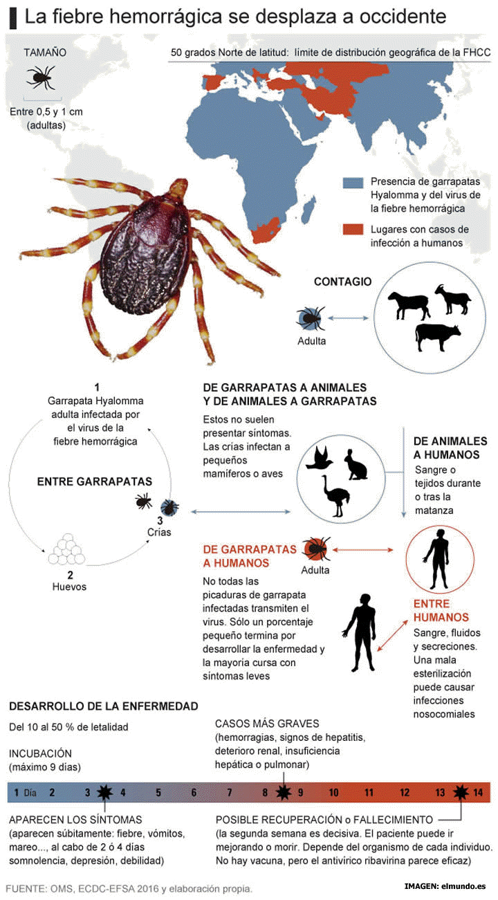 Fiebre Hemorrgica de Crimea-Congo