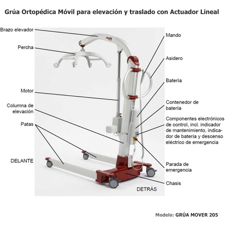 Elementos de una Gra Ortopdica Modelo Mover 205