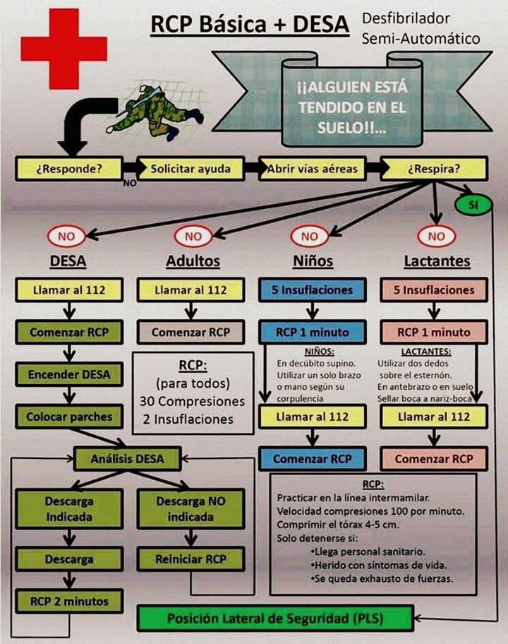 Organigrama RCP Bsica + DESA