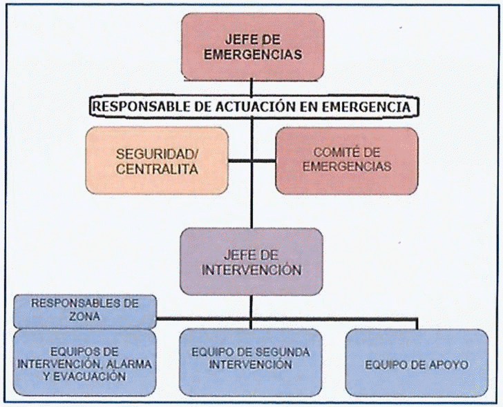 ORGANIZACIN DEL PERSONAL DEL EDIFICIO ANTE UNA EMERGENCIA