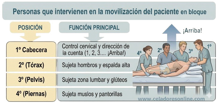 Tema 11. Temario Celadores Online. Movilizaci�n del Paciente. Parte I