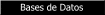 Bases de Datos