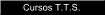 Formaci�n a Distancia para T.T.S.