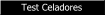 Test On-Line de Celadores