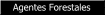 Oposiciones Agentes Forestales