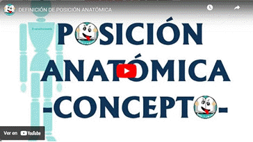 Vídeo Definición de Posición Anatómica