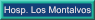 Hospital Los Montalvos - Web No Oficial