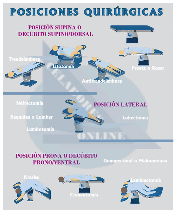 Temario Celadores Online. Tema 9 - Ejes y Planos de Cuerpo Humano. Posiciones Anatmicas. Parte II