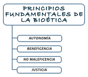 Principios de la Biotica