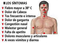 Sntomas de la Gripe A/H1N1