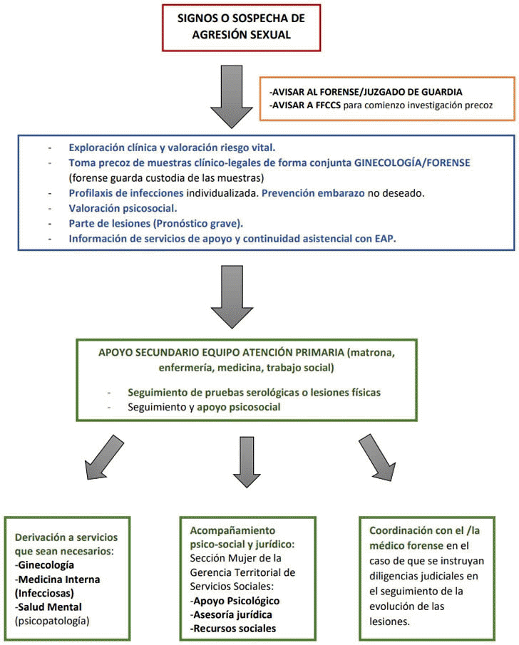 ALGORITMO II. RESUMEN DE ATENCIN SANITARIA ANTE SOSPECHA DE AGRESIN SEXUAL EN CASTILLA Y LEN