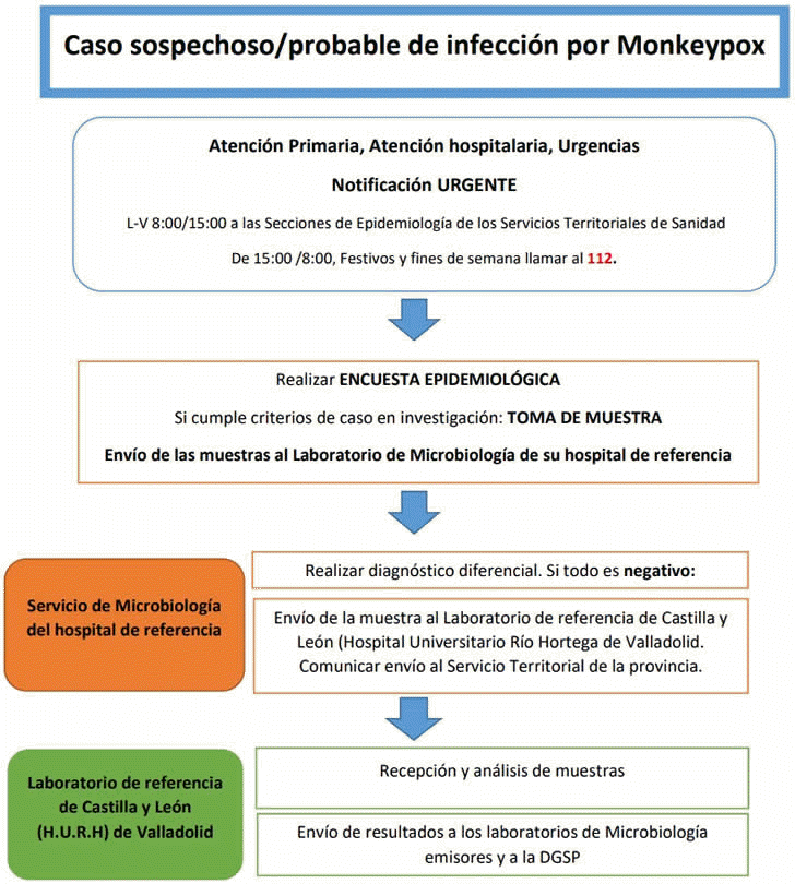 ALGORITMO DE ACTUACIONES ANTE UN CASO SOSPECHOSO/PROBABLE DE INFECCIÓN POR MONKEYPOX
