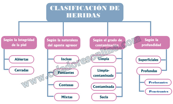 Clasificacin de las Heridas