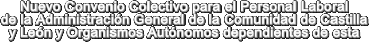 NUEVO CONVENIO COLECTIVO PARA EL PERSONAL LABORAL DE LA ADMINISTRACIÓN GENERAL DE LA COMUNIDAD DE CASTILLA Y LEÓN Y ORGANISMOS AUTÓNOMOS DEPENDIENTES DE ESTA