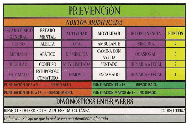 ESCALA DE NORTON MODIFICADA