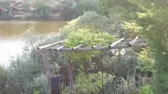 Jardn de Ignacio, Tejares. Salamanca, Junio 2014