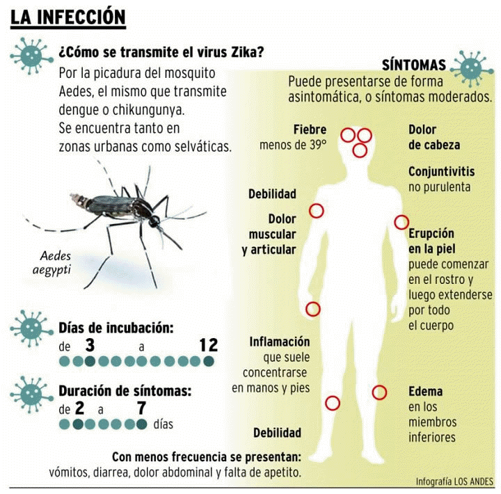 Enfermedad por el Virus de Zika